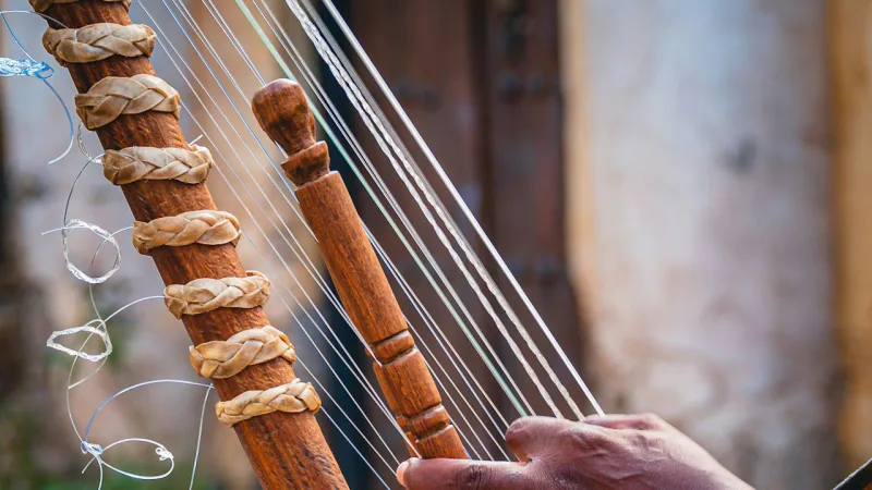 Gros plan sur les mains d'un musicien jouant de la kora
